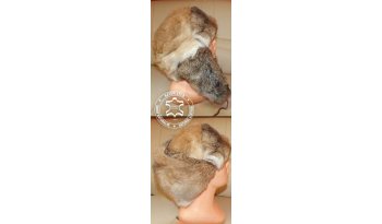 Garbowanie skór z nutrii, królików i lisów - Adam Leather