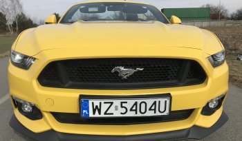 Wynajem Mustang GT Cabrio
